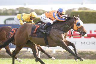 Avantage (Fastnet Rock) dominates the Group Two Valachi Downs Foxbridge Plate (1200m). 